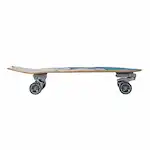 carver-surfskate-aipa-sting-30-75-cx